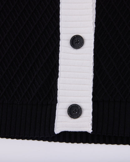 25SS バイカラーVネックベスト