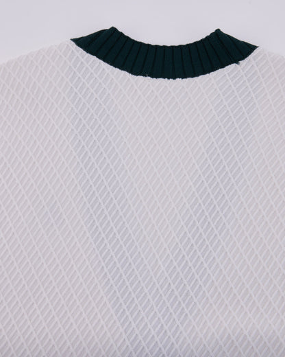 25SS バイカラーVネックベスト