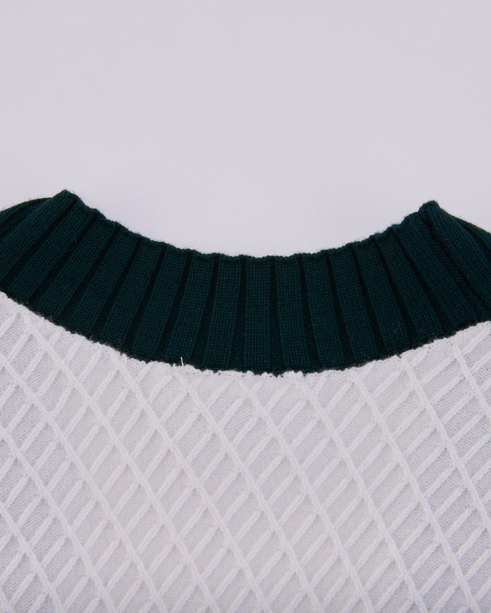 25SS バイカラーVネックベスト