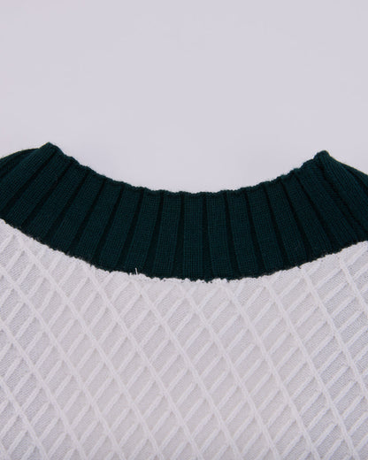 25SS バイカラーVネックベスト