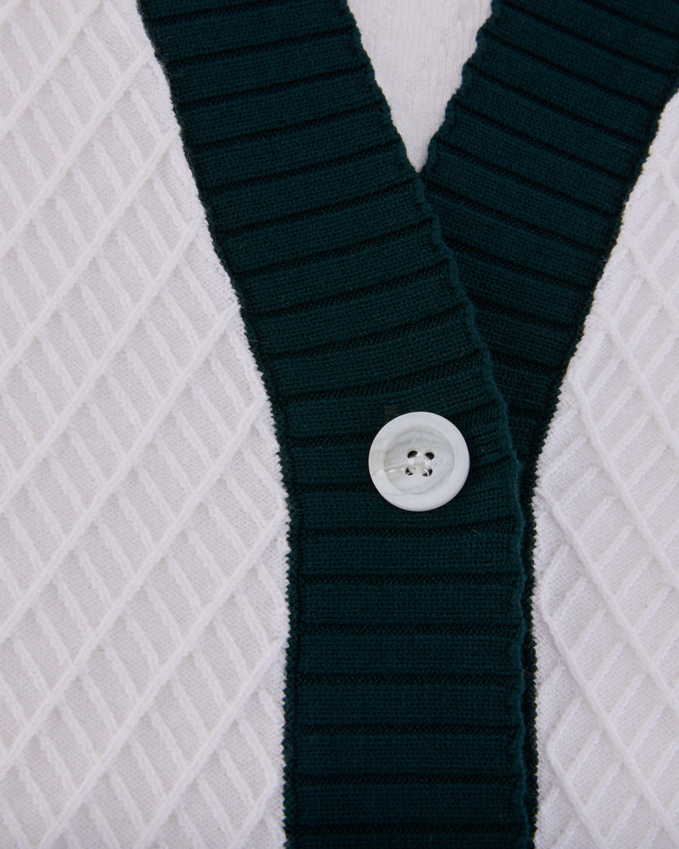 25SS バイカラーVネックベスト