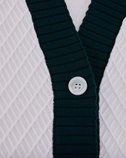 25SS バイカラーVネックベスト