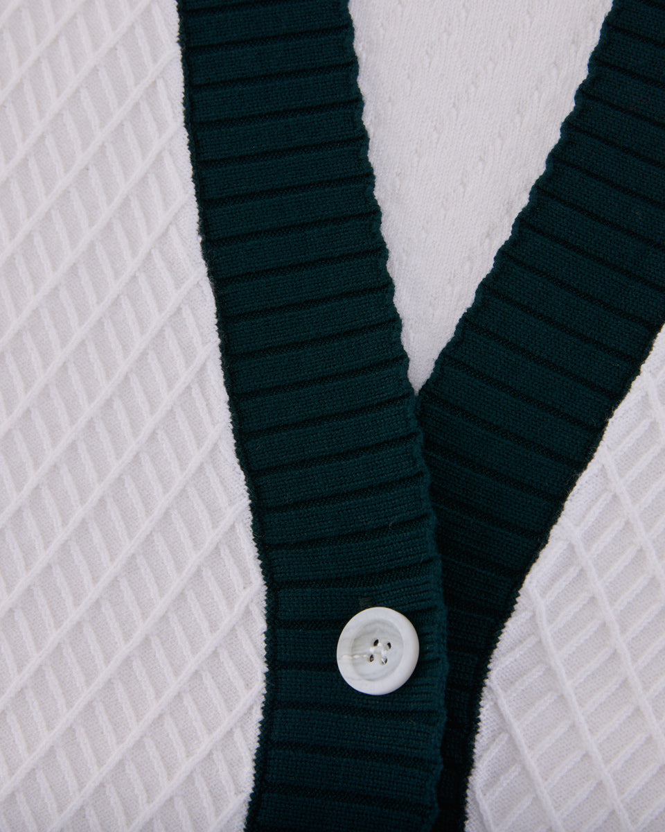 25SS バイカラーVネックベスト