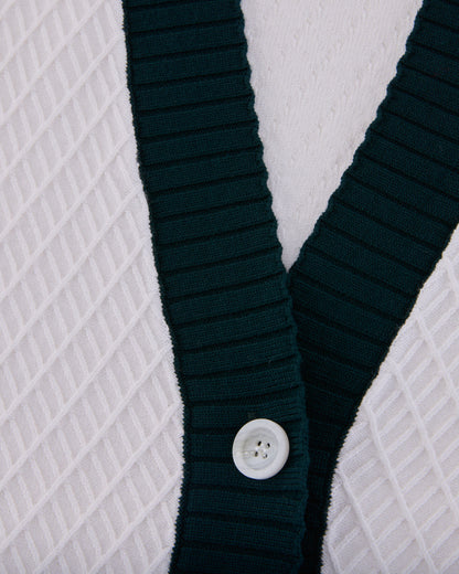 25SS バイカラーVネックベスト