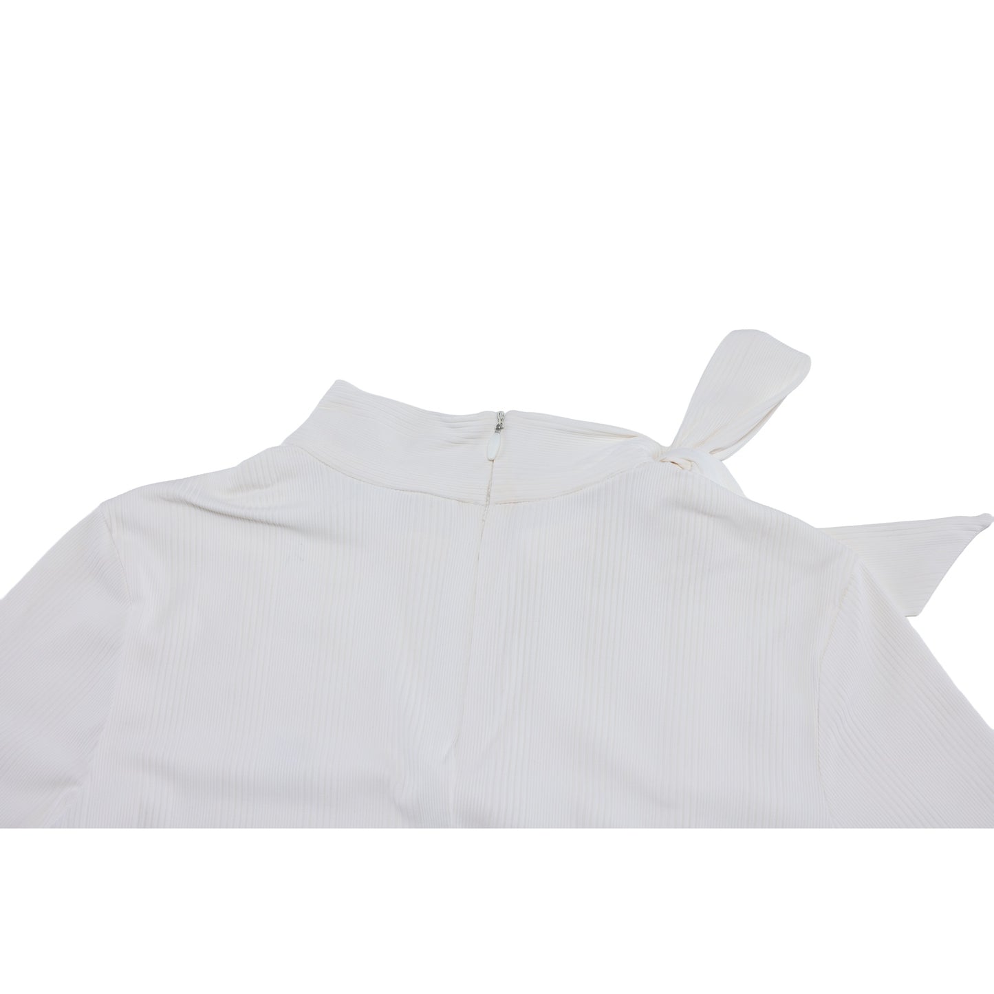 FS6TS08FWH_25D.jpg